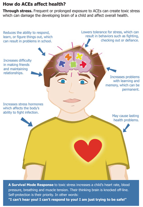 ACEs infographic