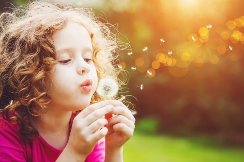 Little curly girl blowing dandelion.